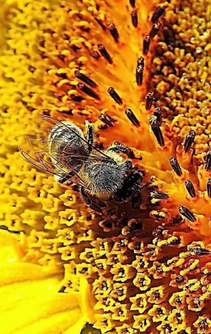 Csodálatos természet 17